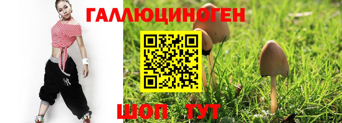 Псилоцибиновые грибы Psilocybine cubensis  Вход с VPN  Новоуральск 