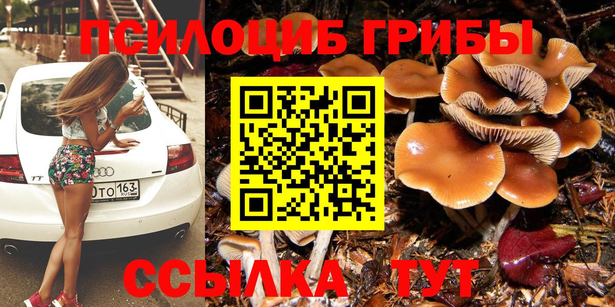 Псилоцибиновые грибы прущие грибы Новоуральск